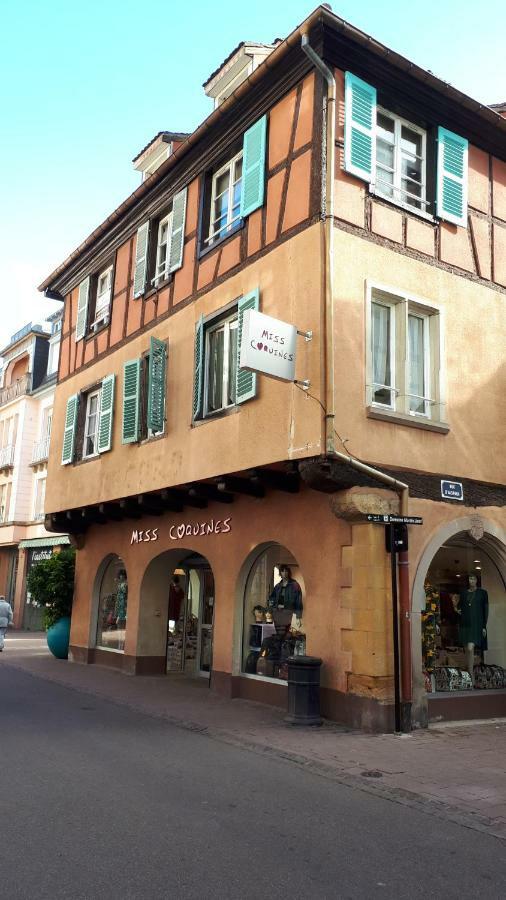 Colmar By Anne Apartment Bagian luar foto